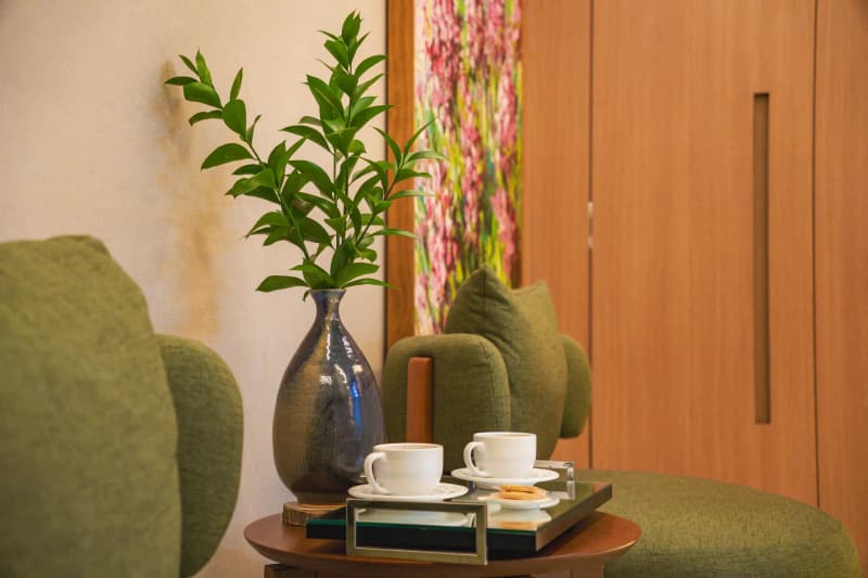 Sala de espera com café e planta natural